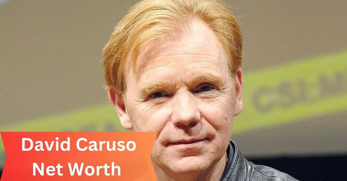 David Caruso Net Worth