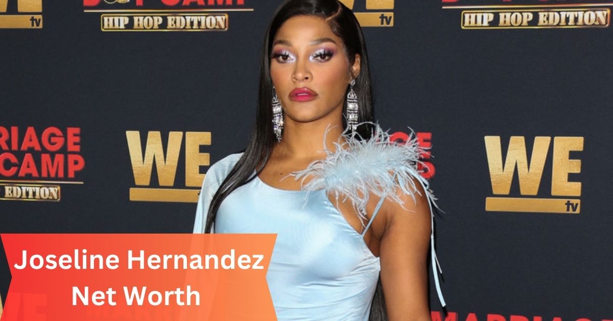 Joseline Hernandez Net Worth