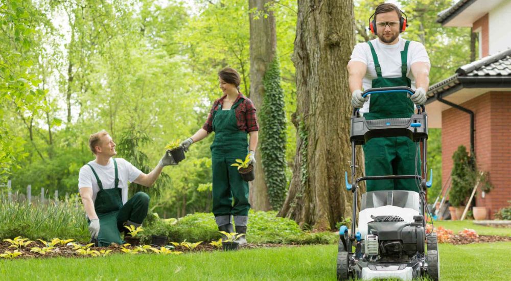 Landscaping Maintenance